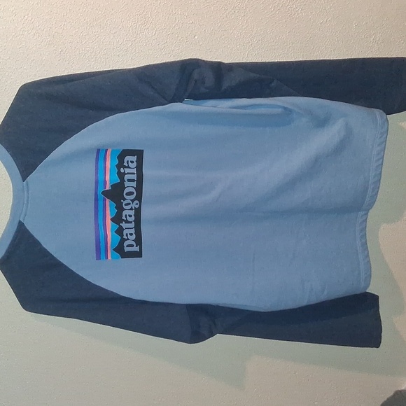 Patagonia Organic Cotton Two-Tone Baseball Style Sweatshirt L - Picture 1 of 7